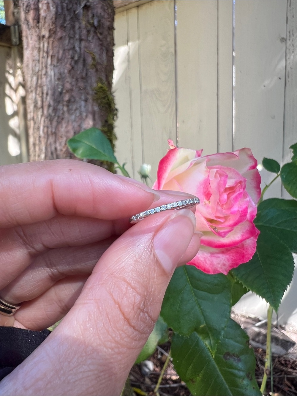 18k White Gold Diamond Petite Ring - Picture 5 of 5